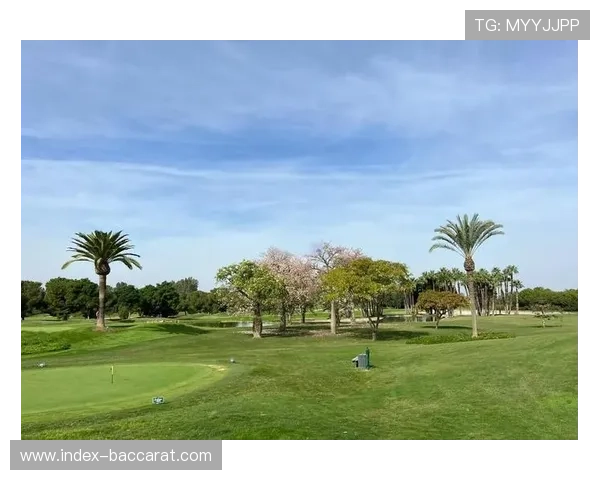 都灵主场气温骤降至3度，草皮湿度或影响地面传球精度